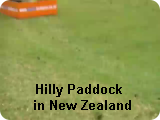 Super Scooper New Zealand Hilly